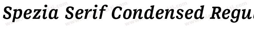 Spezia Serif Condensed Regular D字体转换